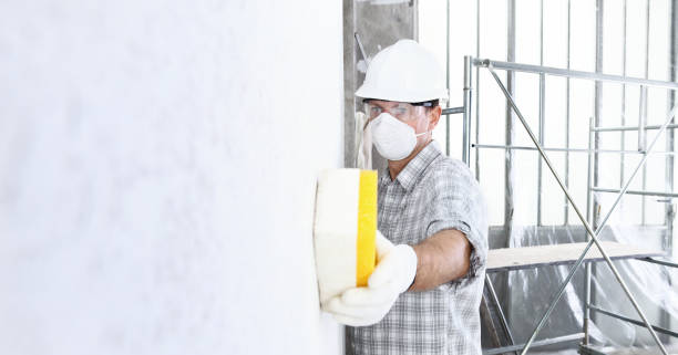 Trusted Hutchins, TX Mold Removal Experts